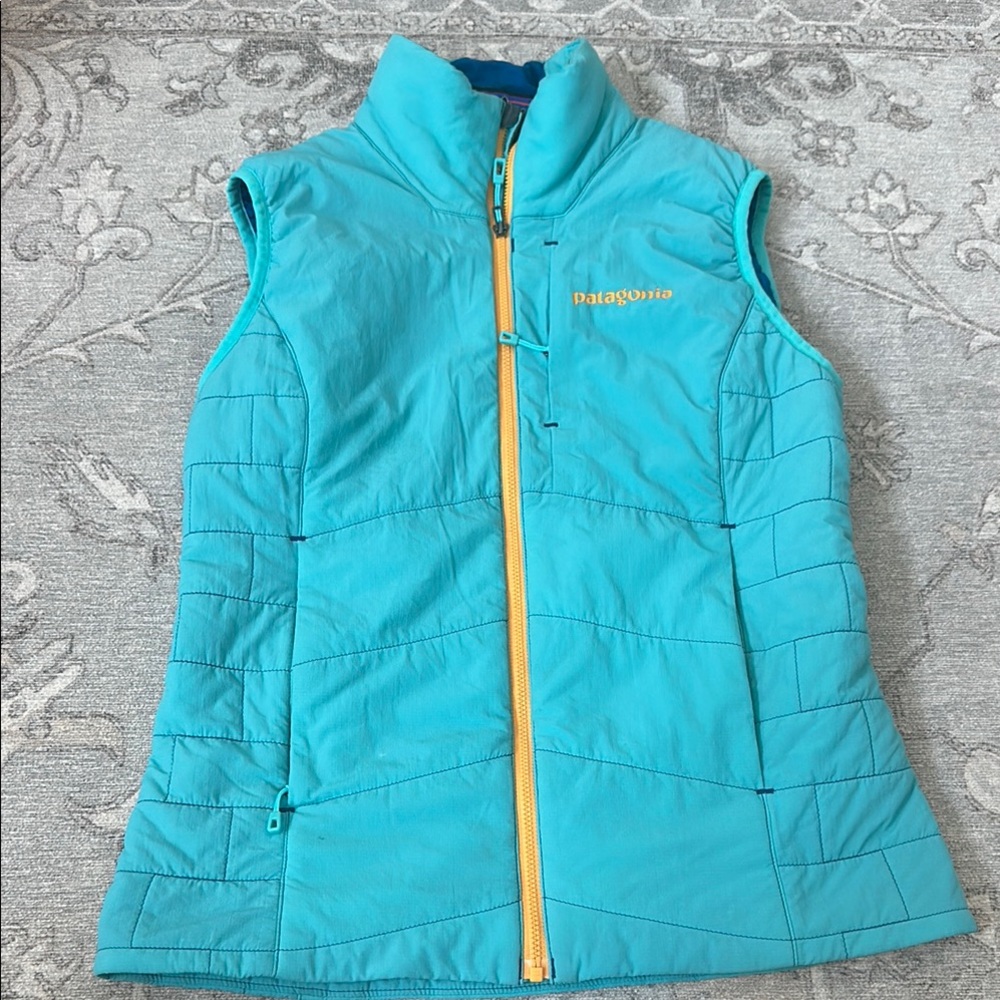 Patagonia Seafoam Green Vest with Yellow Accents